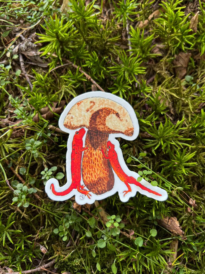 Klistermärke med röd eft-salamander som hyllar svampen för wholesale av Designs by Tris