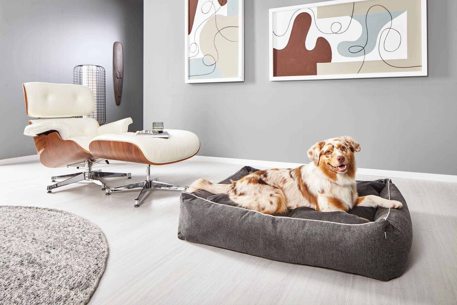 LABONI - Volentis GmbH – wholesale Pet bed – Dog – DOGGY DOG3