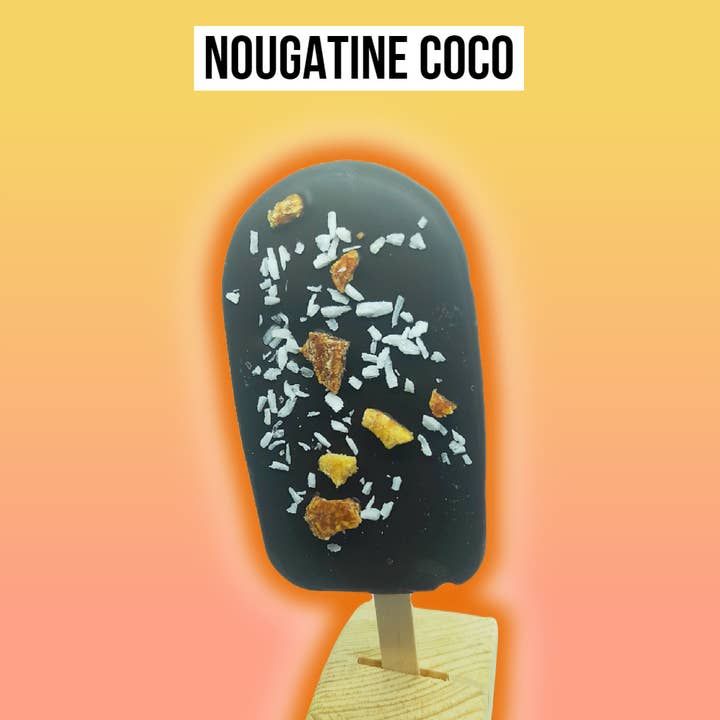 Nougatine Coco Ice Cream Stick - Organic and Vegan for wholesale by Banana Square