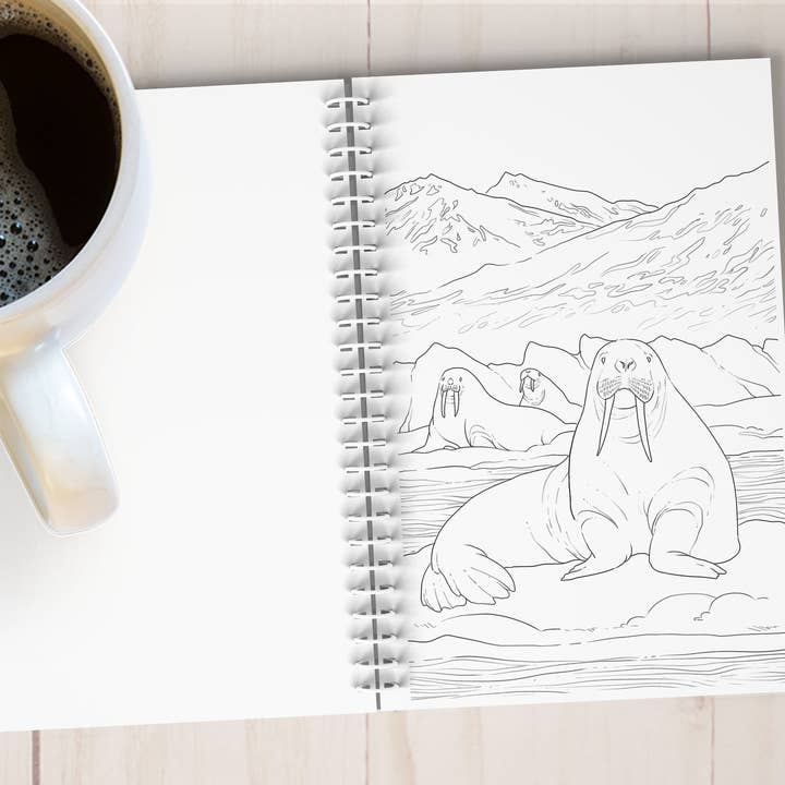 The Snow Finch - Wholesale Colouring book – Adult - Arctic Alaska Art Coloring Book9