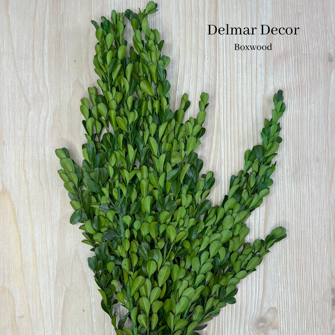Delmar Decor - Wholesale Artificial plant - Boxwood, 3-4oz bunch1