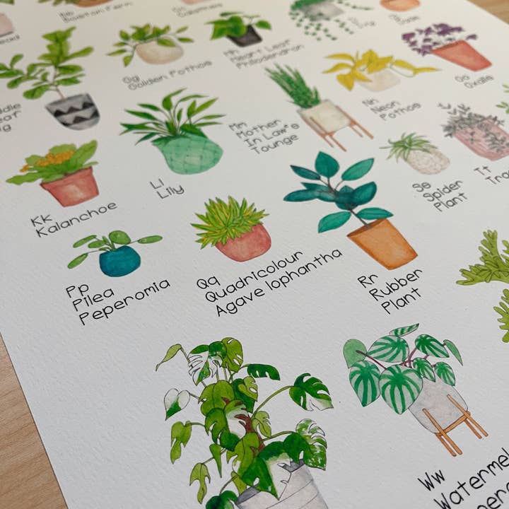 The Curious Cactus - Wholesale Art Print - Plant Alphabet Art Print3