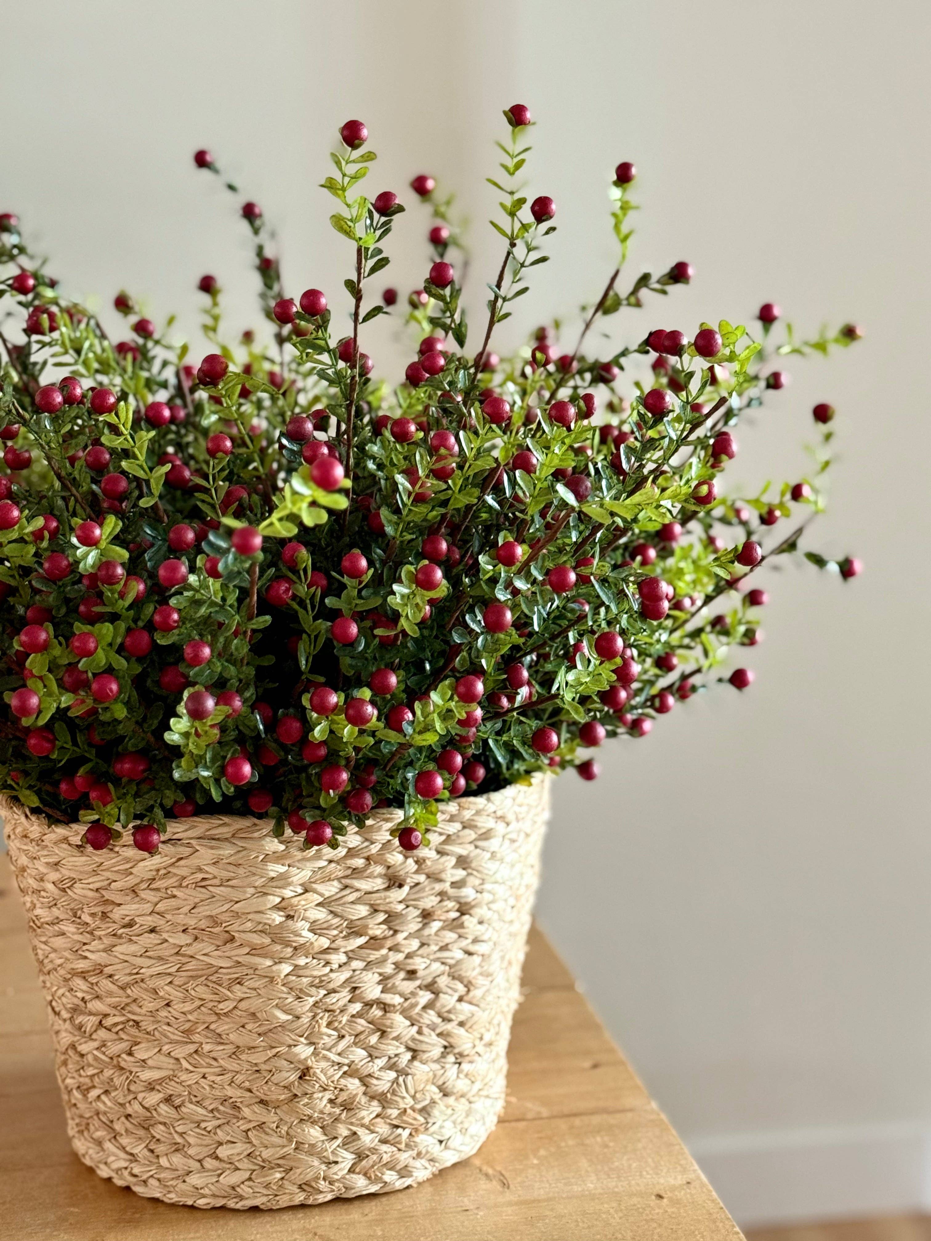 Eucalypt Co. - Vendita all'ingrosso Fiori finti - Gambo di mirtillo rosso2