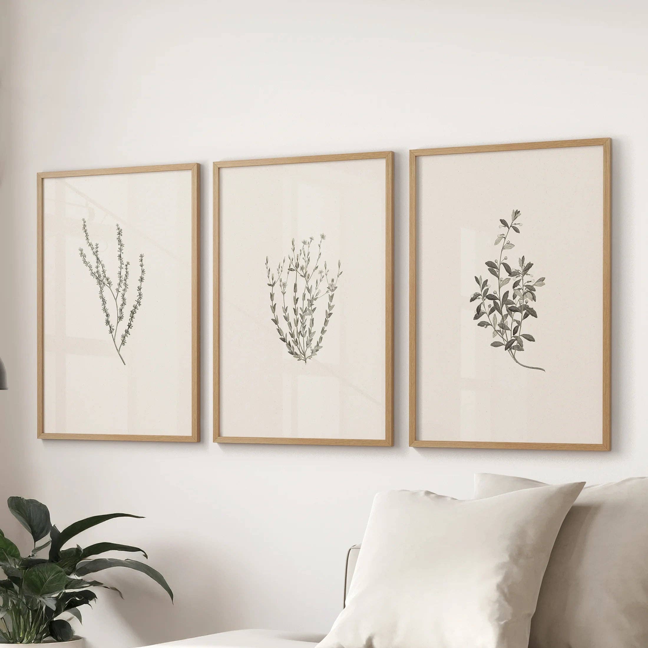 PrintSets.com - Wholesale Gallery Wall Set - Vintage Botanical 3 Piece Wall Decor. Rustic Dried Flower Prints2