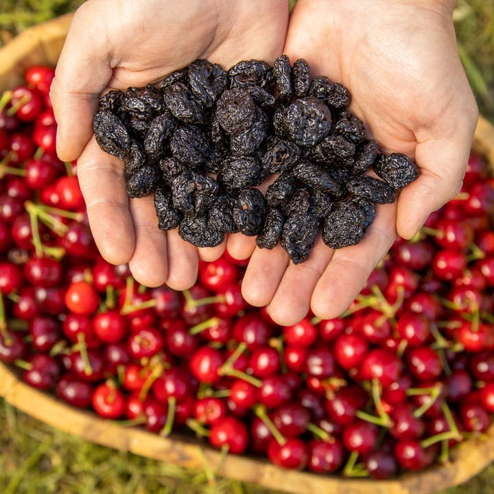Sunrise Fresh Dried Fruit - Wholesale Dried/Dehydrated Fruit - 5 lb Dried Dark Sweet Cherries