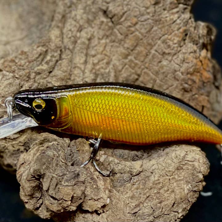 Cod Pro Shop - Wholesale Sporting Accessories - Dartmouth Divers 64mm3