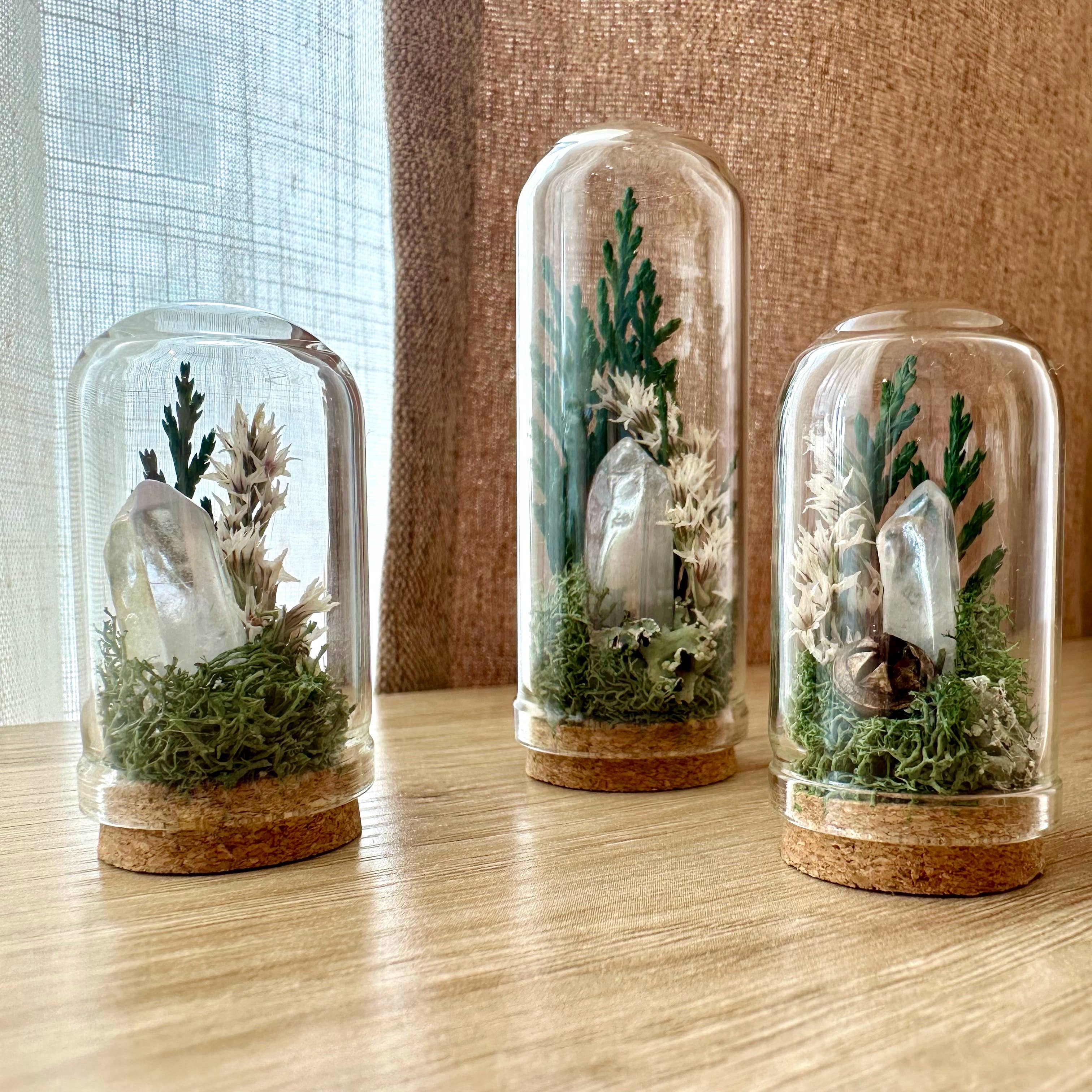 CA Studios - Wholesale Terrarium - Moonlight Mini Crystal Fairy Terrarium Floral Glass Cloche1