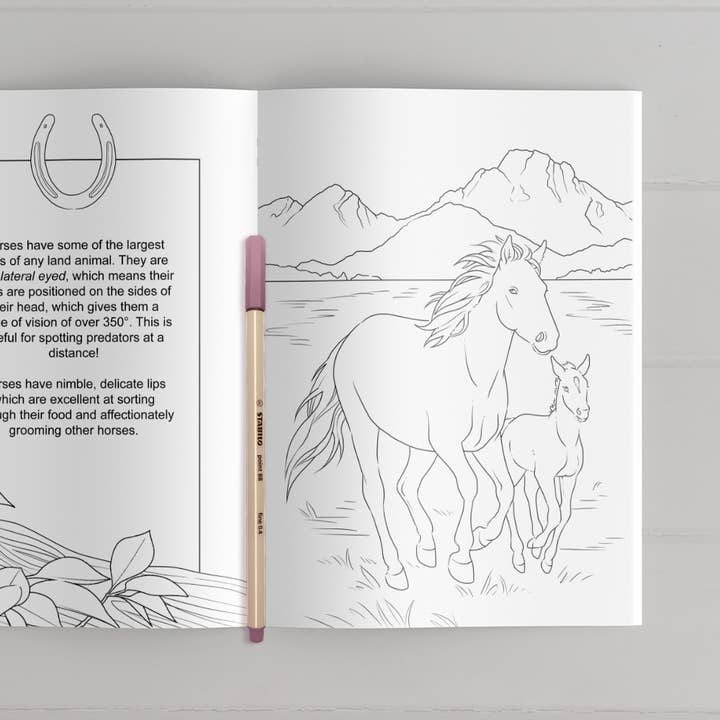 The Snow Finch - Wholesale Colouring book – Adult - Farmyard Friends Coloring Book3