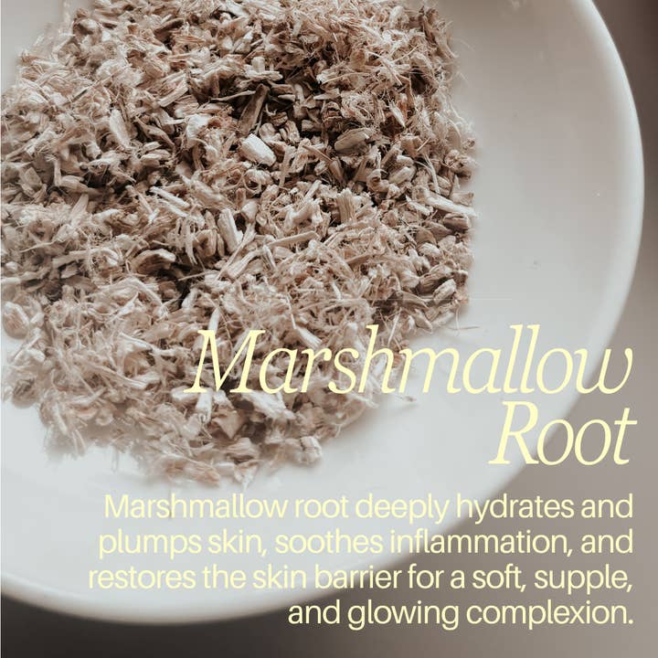 Wild Roots Tallow Co. - Wholesale Facial Moisturizer - Wild Beauty Face Nectar4