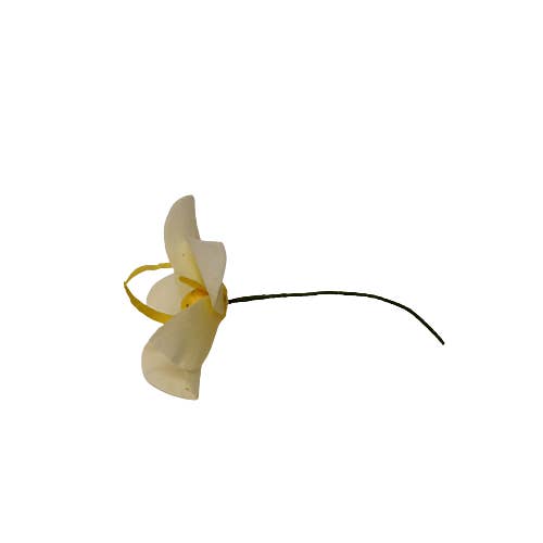 Concari.flores Preservadas - Vente Fleurs artificielles - LOT DE 4 FLEURS D'ORCHIDÉES STABILISÉES