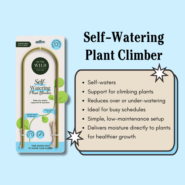 We the Wild Plant Care - Australia - Wholesale Garden Tool - Self-Watering Plant Climber - Case of 62