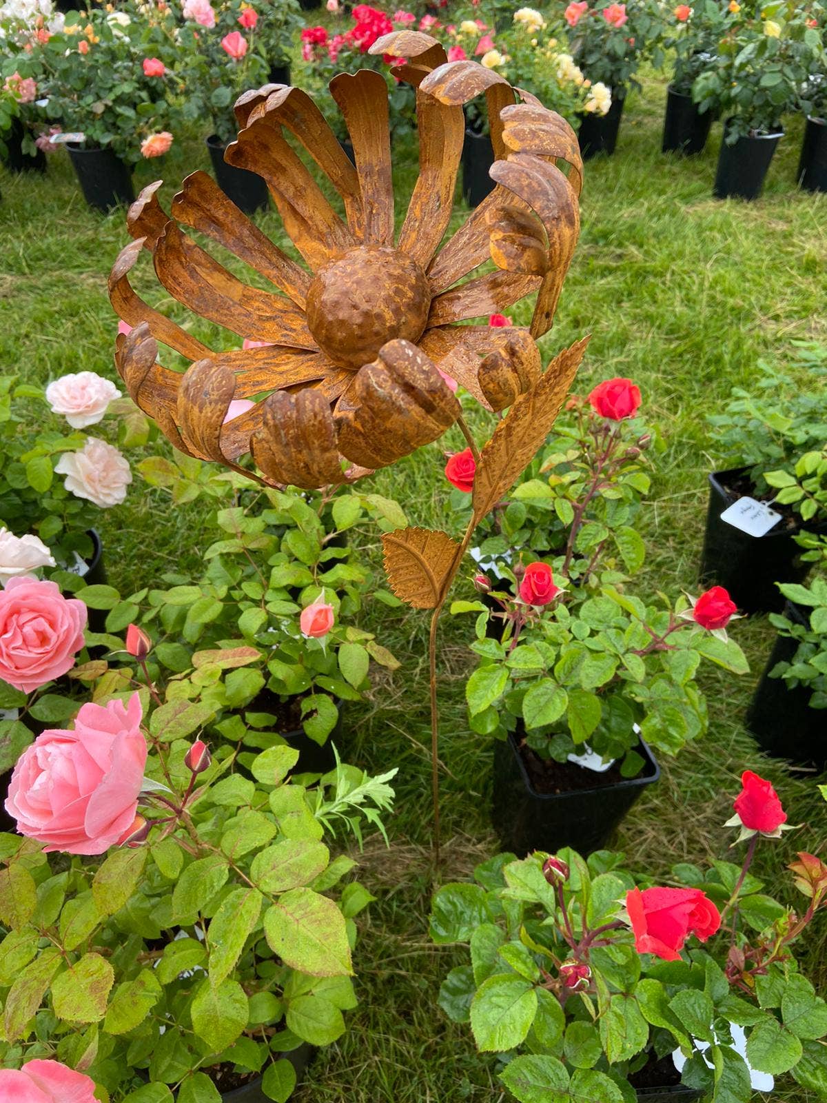 Marissa's Gifts - Wholesale Garden/Lawn Stake - Chrysanthemum metal garden flower 119cm6