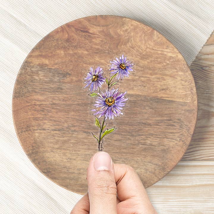 Aster Sticker and other Purchase Wholesale asterix figuren fischhandler. Free Returns & Net 60 Terms on Faire trending on Faire.