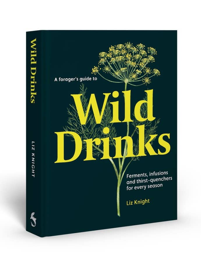 A Forager's Guide to Wild Drinks for wholesale by Abrams