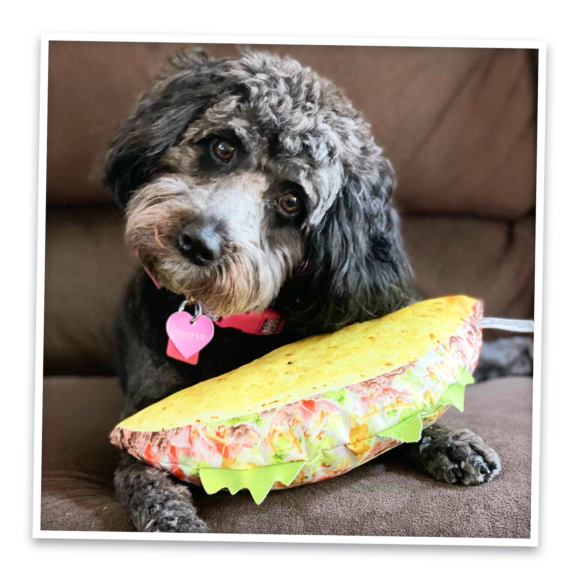 SmarterPaw | Meowijuana & Doggijuana – Großhandel Plüschtier – Hund – Doggijuana® Hol dir die Munchies Taco Nachfüllbares Hundespielzeug7