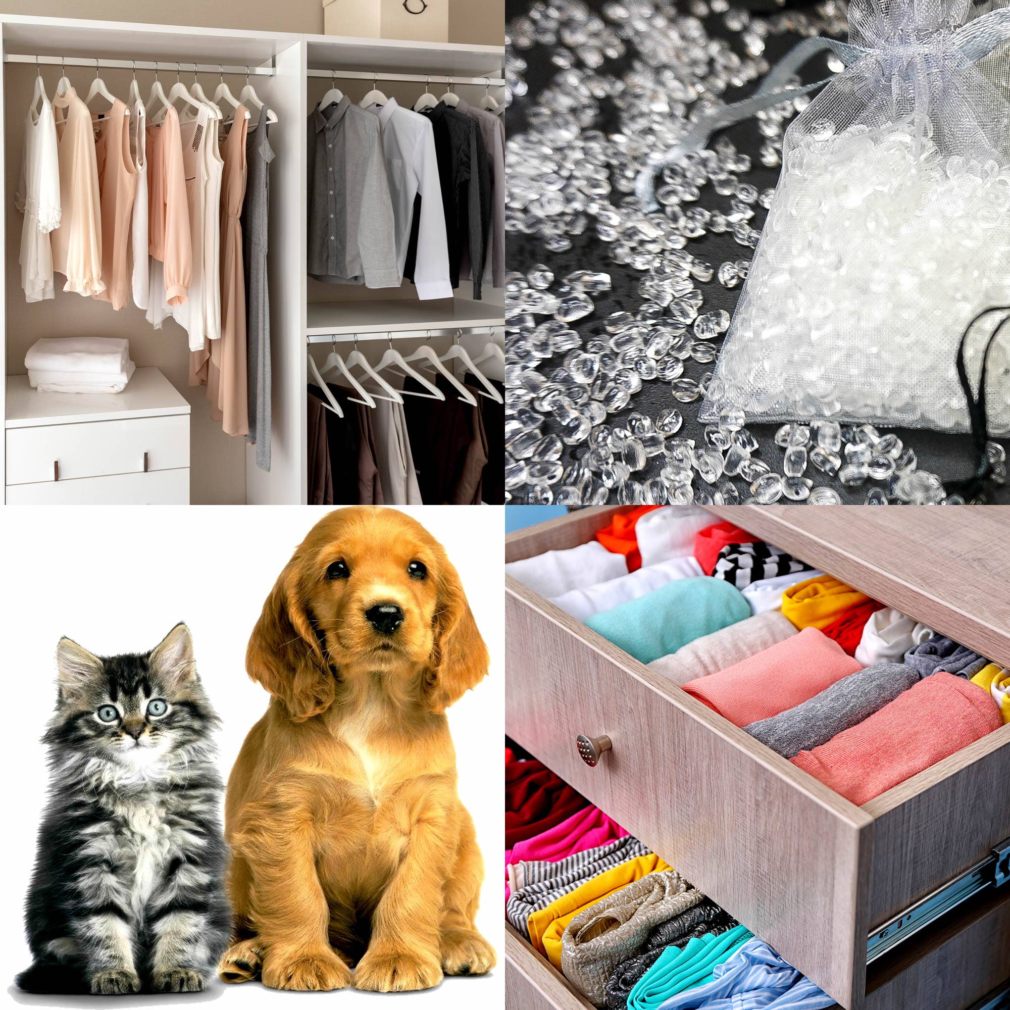 Aroma Kaz - Wholesale Air freshener - Monkey Farts Air Freshener Aroma Beads Room/Car/Linens3