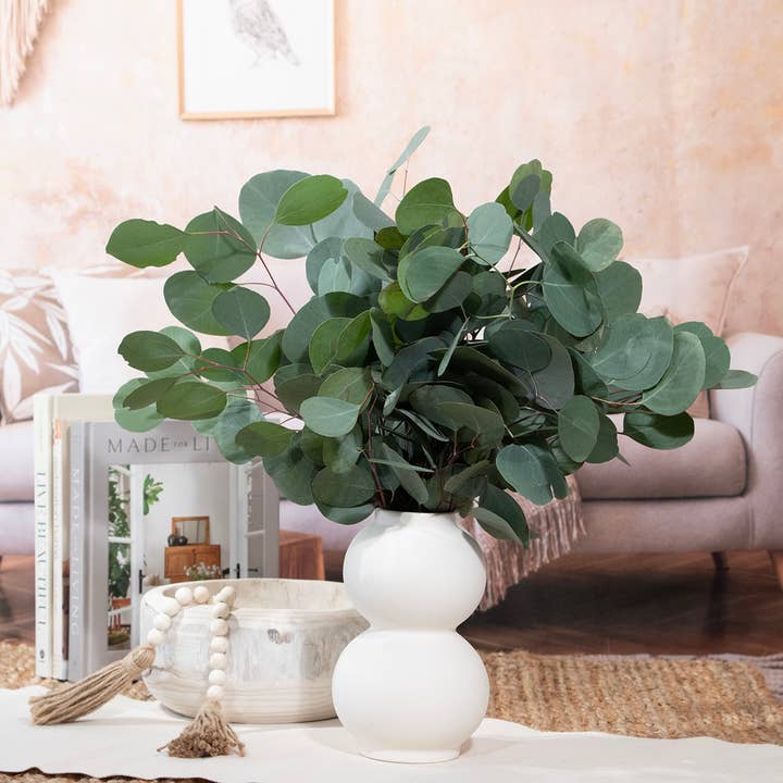 Andaluca - Wholesale Fresh Cut Flowers - Fresh Eucalyptus Silver Dollar + Baby Blue Mixed Bunches