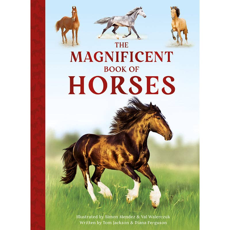 Insight Editions - #1 Pop Culture Publisher - Wholesale Middle Grade Book (9-12) - The Magnificent Book of Horses - Large Size Format (NEW!)0
