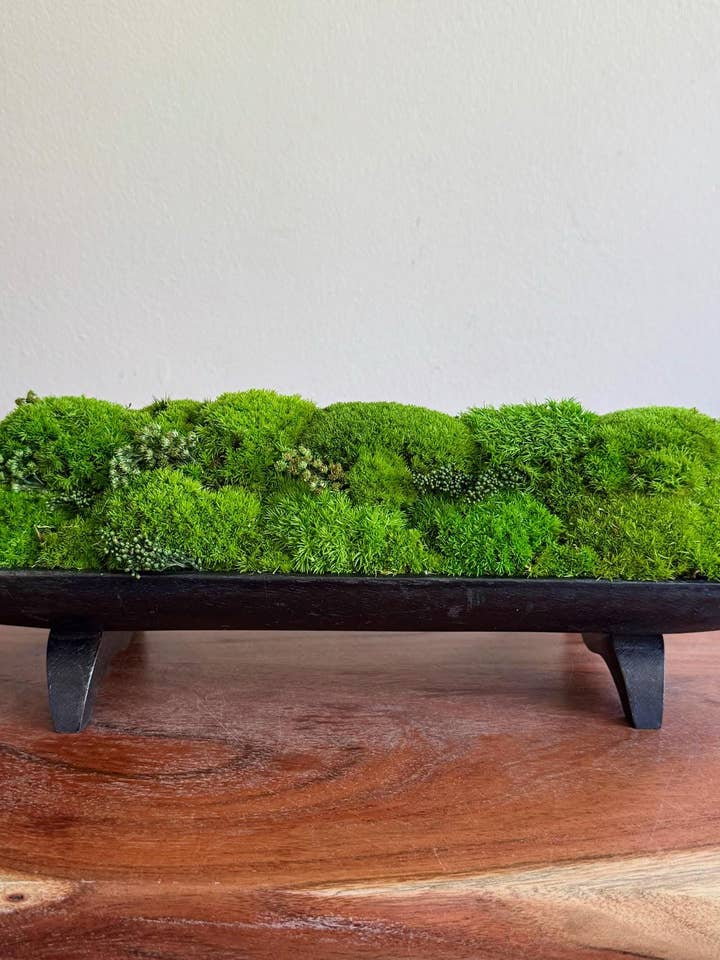 Moss Centerpiece: Pole & Reindeer Moss in Bowl for wholesale by Bright Belle