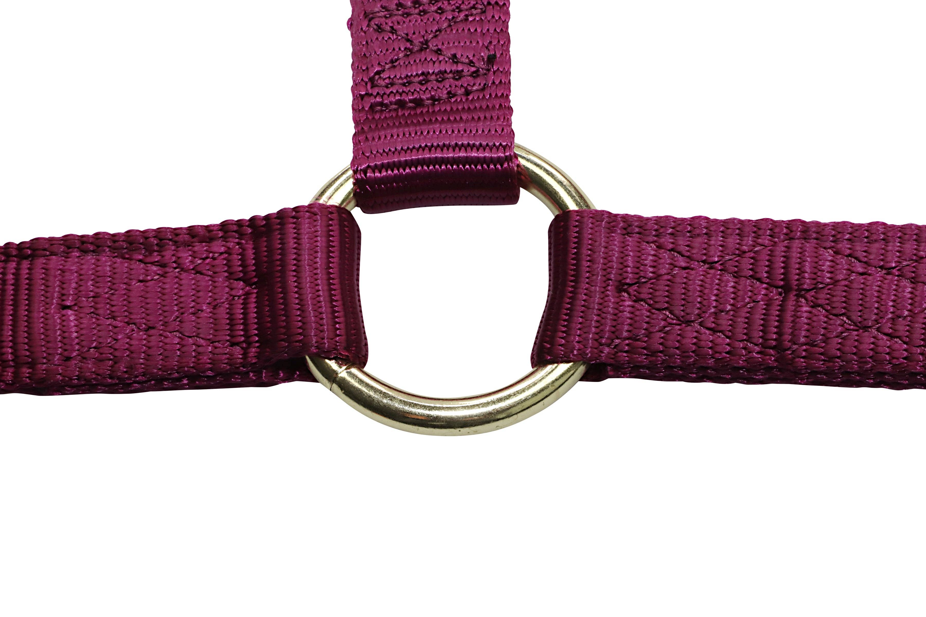 Grewal Equestrian - Wholesale Paardrijuitrusting - Nylon hoofdstellen voor paarden27