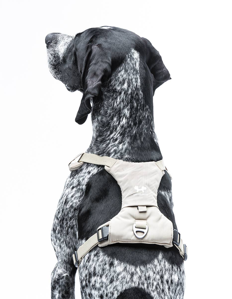 United Pets - Vente Laisse – chien - Harnais rembourré doux pour chien8