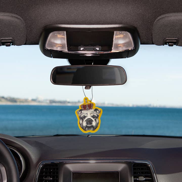 Fresh Fresheners - Vente Désodorisant pour voiture – unisexe - Lot de 12 désodorisants pour chiens Notorious1