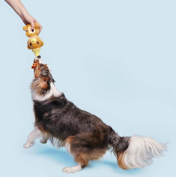 Pet Palette Distribution - Wholesale Pet Plush Toy - Dog - BARK That's My Jam, Honey Plush Dog Toy