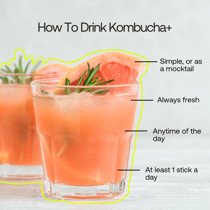 Shake Your Plants – wholesale Kombucha – Kombucha+ Grapefruit5