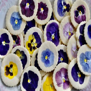 Lavender Sugar Cookie Lotion Nibs - Colorado Bath & Body