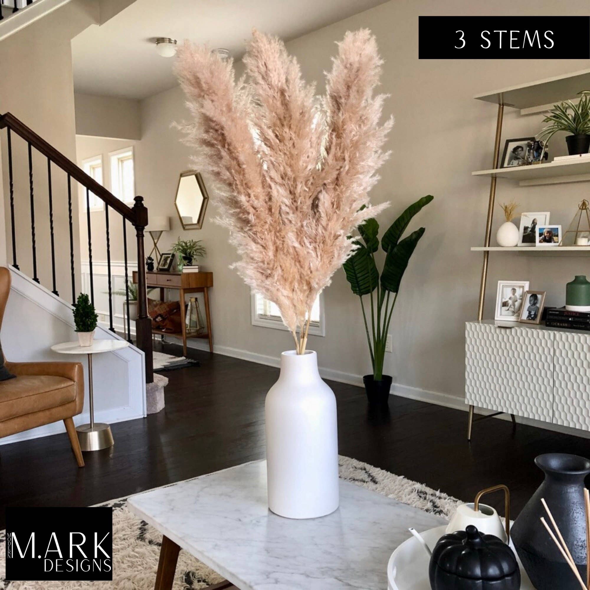 Modern Ark Designs - Wholesale Dried/Pressed Flowers - Fluffy Pampas Grass Stems Extra Large Pampas Grass5