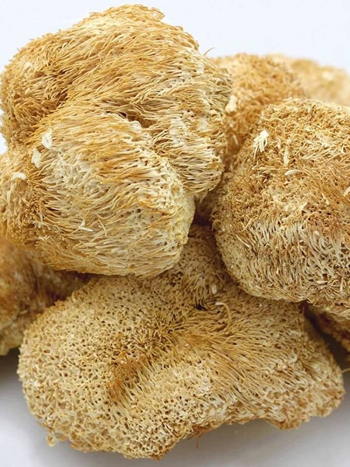 Lion's Mane Fruiting Body for wholesale by Rainbow Bliss Botanicals