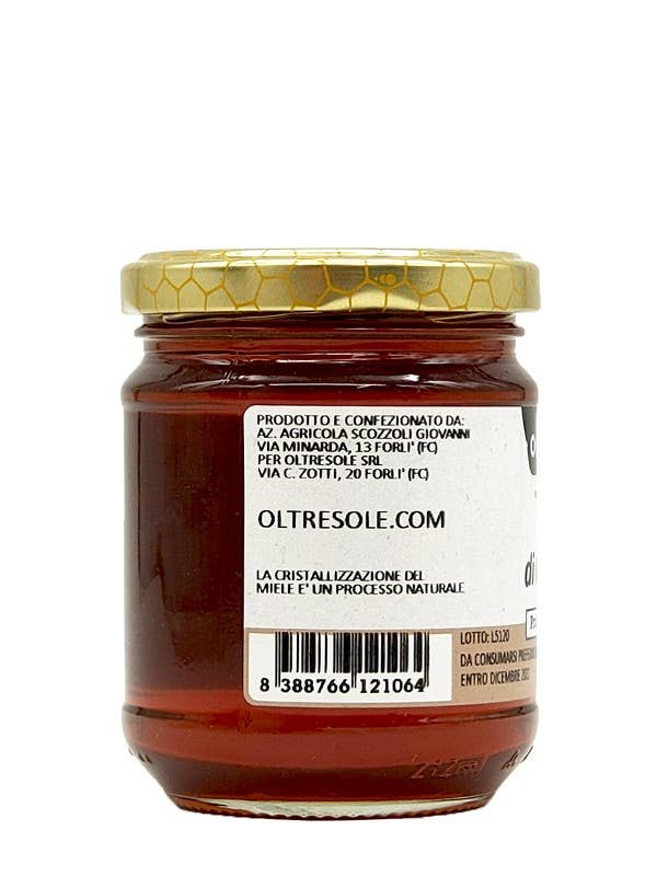 Oltresole - Wholesale Honey - CHESTNUT HONEY 250 g1