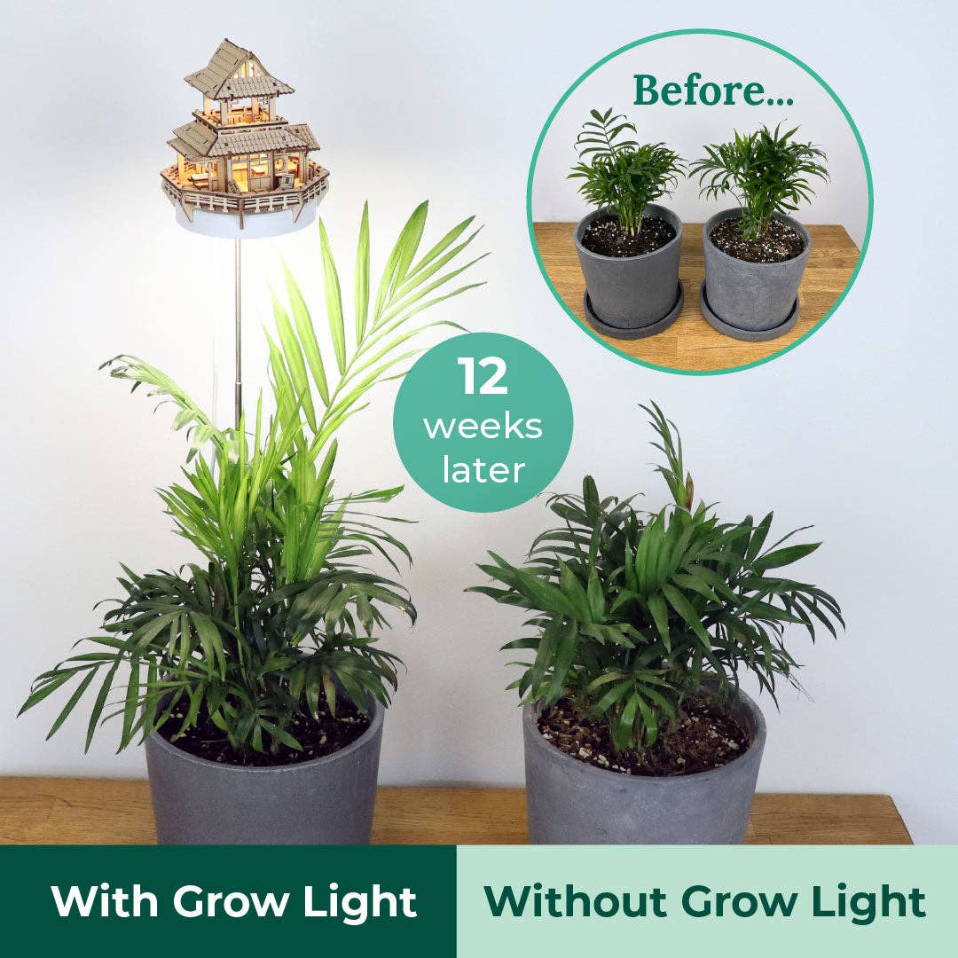 Tiny Treehouses - Wholesale DIY Craft Kit - Sunrise Terrace + Grow Light14