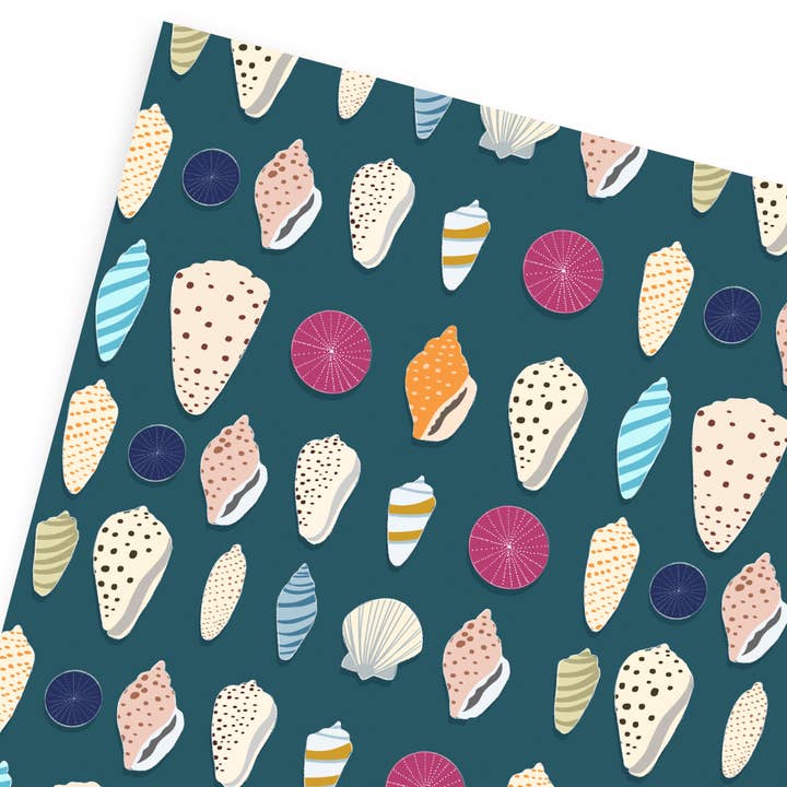 Shell Gift Wrap - Birthday Wrapping Paper Sheets - Seaside for wholesale by Old English Company