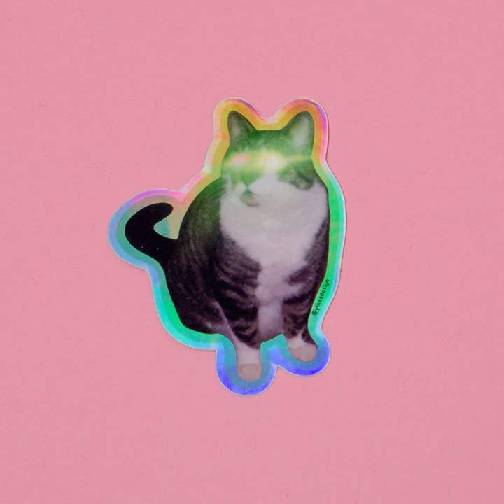 Yikes Design - Vente Autocollant - Autocollant drôle de chat Lazer Booty (imperméable et résistant aux UV)