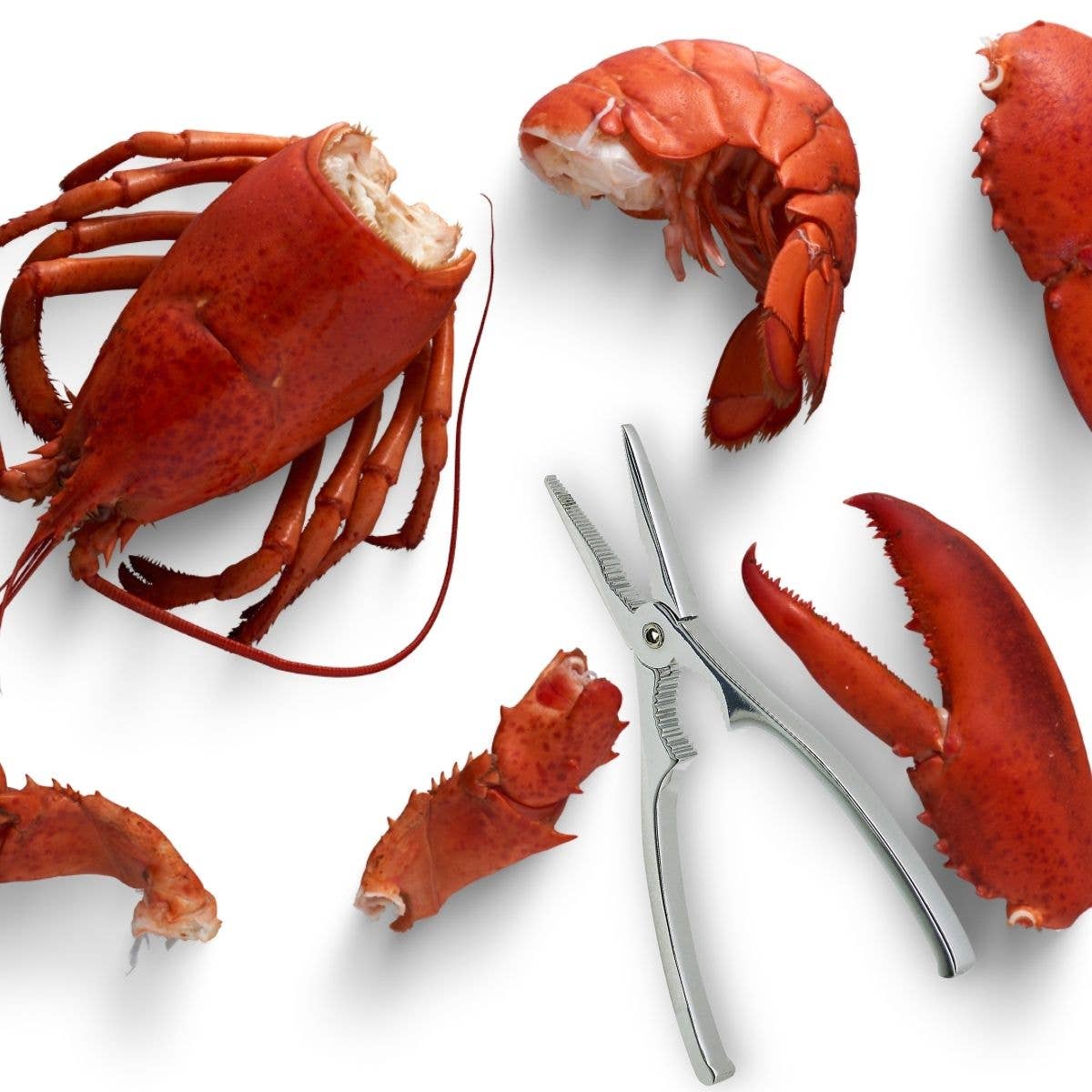 Fackelmann - Wholesale Kitchen Tool/Gadget - Fackelmann lobster claw3