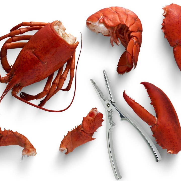 Fackelmann - Wholesale Kitchen tool/gadget - Fackelmann lobster claw3