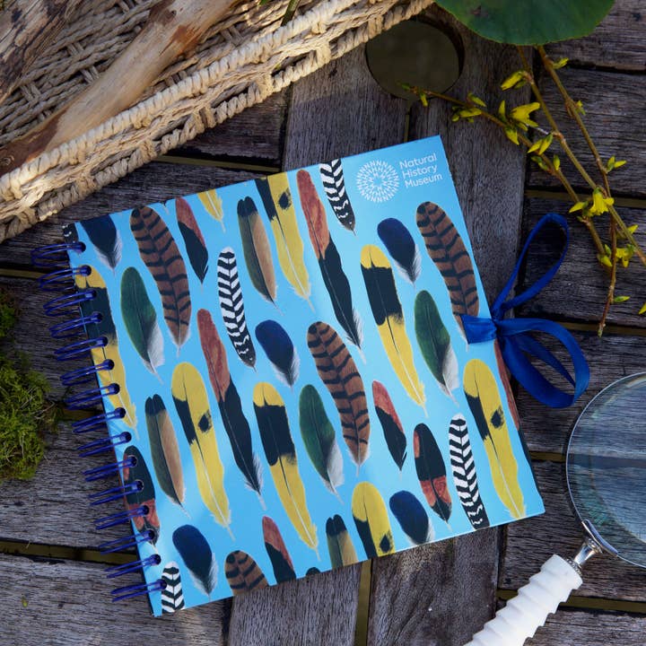 West Design Products – Engroshandel Scrapbog – Naturhistorisk Museum Indbundet Scrapbog, Fjer, 8 x 8"5