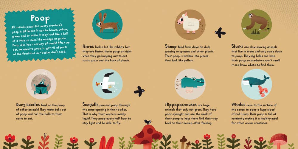 Barefoot Books - Wholesale Preschool Book (3-5) - Poop!4