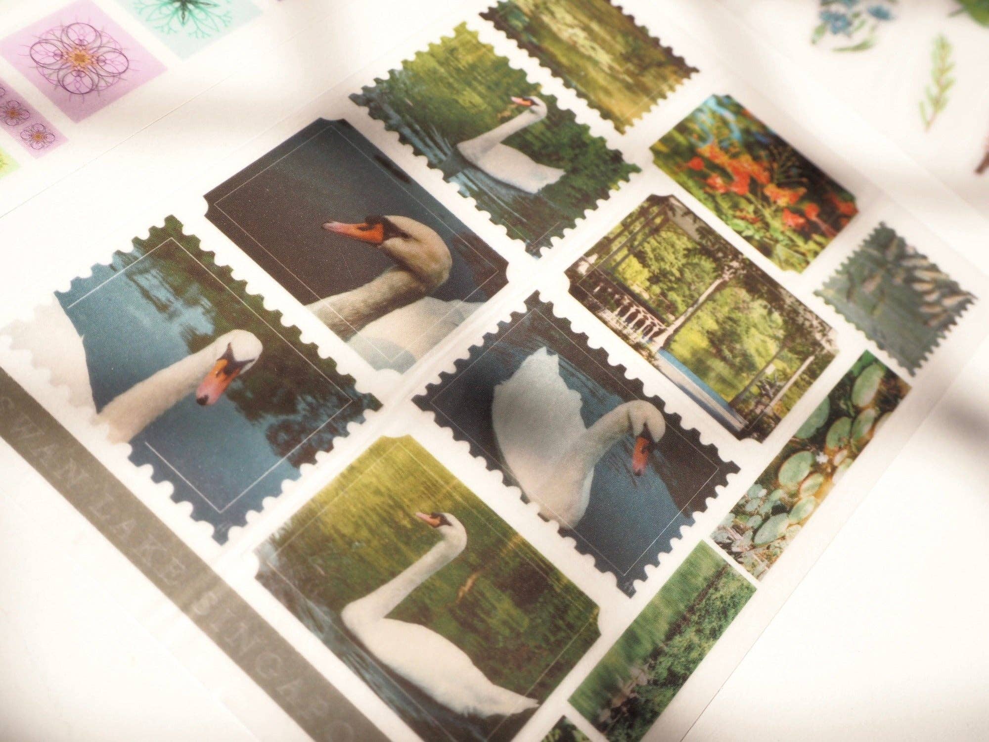 Little Forest Shop – wholesale Sticker – Swan Lake - Rub-on Stickers/ Transfer Stickers 002 (LFSO)1