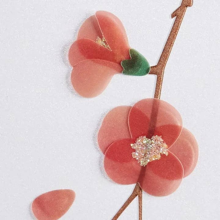 NIQUEA.D - Wholesale Everyday Greeting Card - Vellum Quince Branches Blank Card3