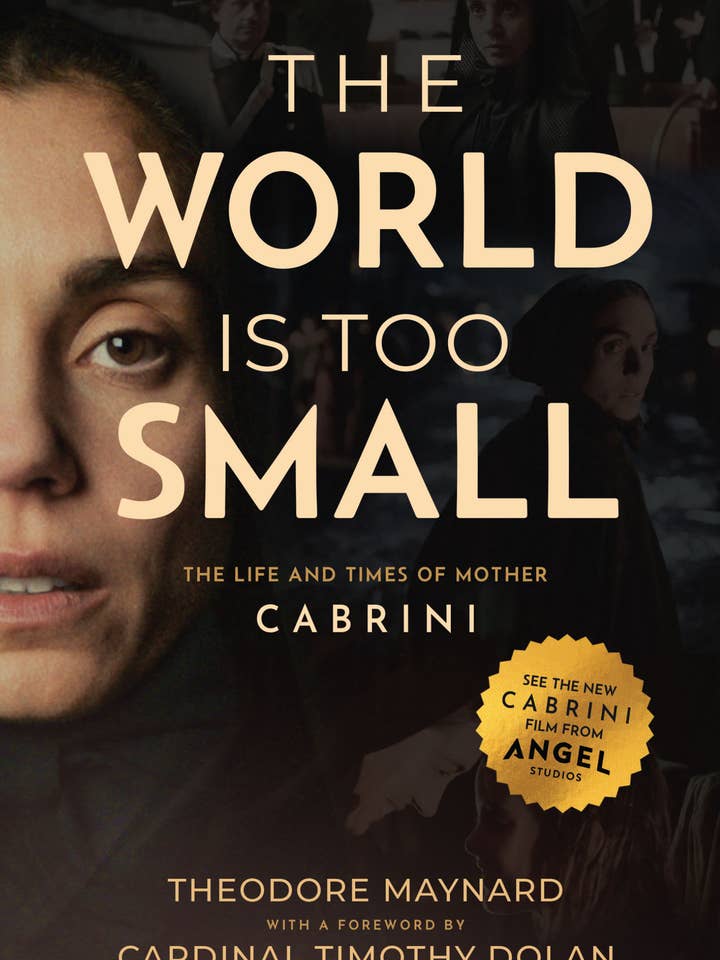 World Is Too Small for wholesale by Sophia Institute Press