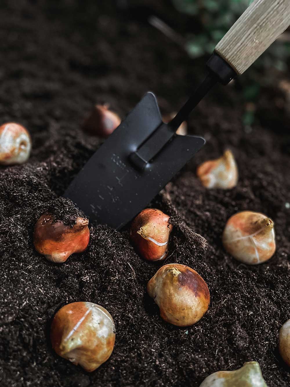 by Benson - Wholesale Garden Tool - Garden Hand tool Spade6