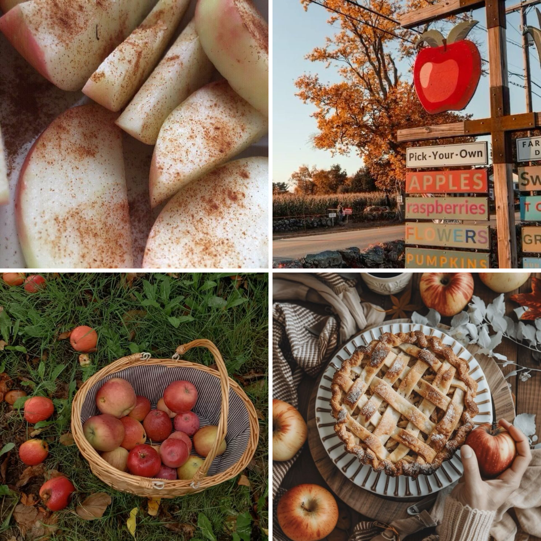 Rockaway Candle Co - Wholesale Jar/Filled Candle - Apple Grove 8oz Candle1