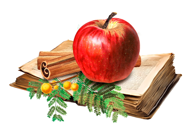 Lady Joseph - Vendita all'ingrosso Biscotti - Biscotti artigianali vegani alla mela e cannella5