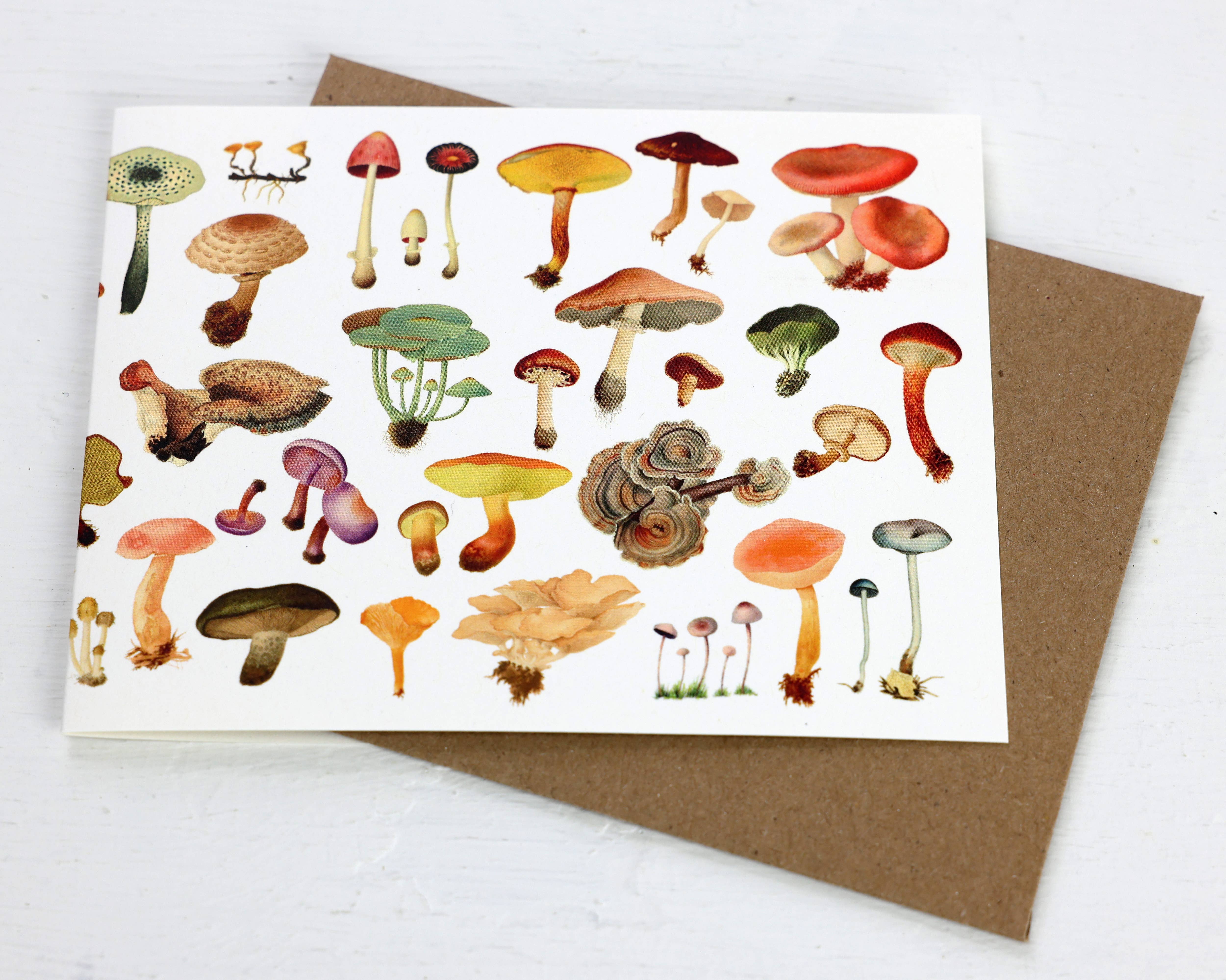 Fairhope Graphics - Vente Carte de vœux classique - Carte de champignons1