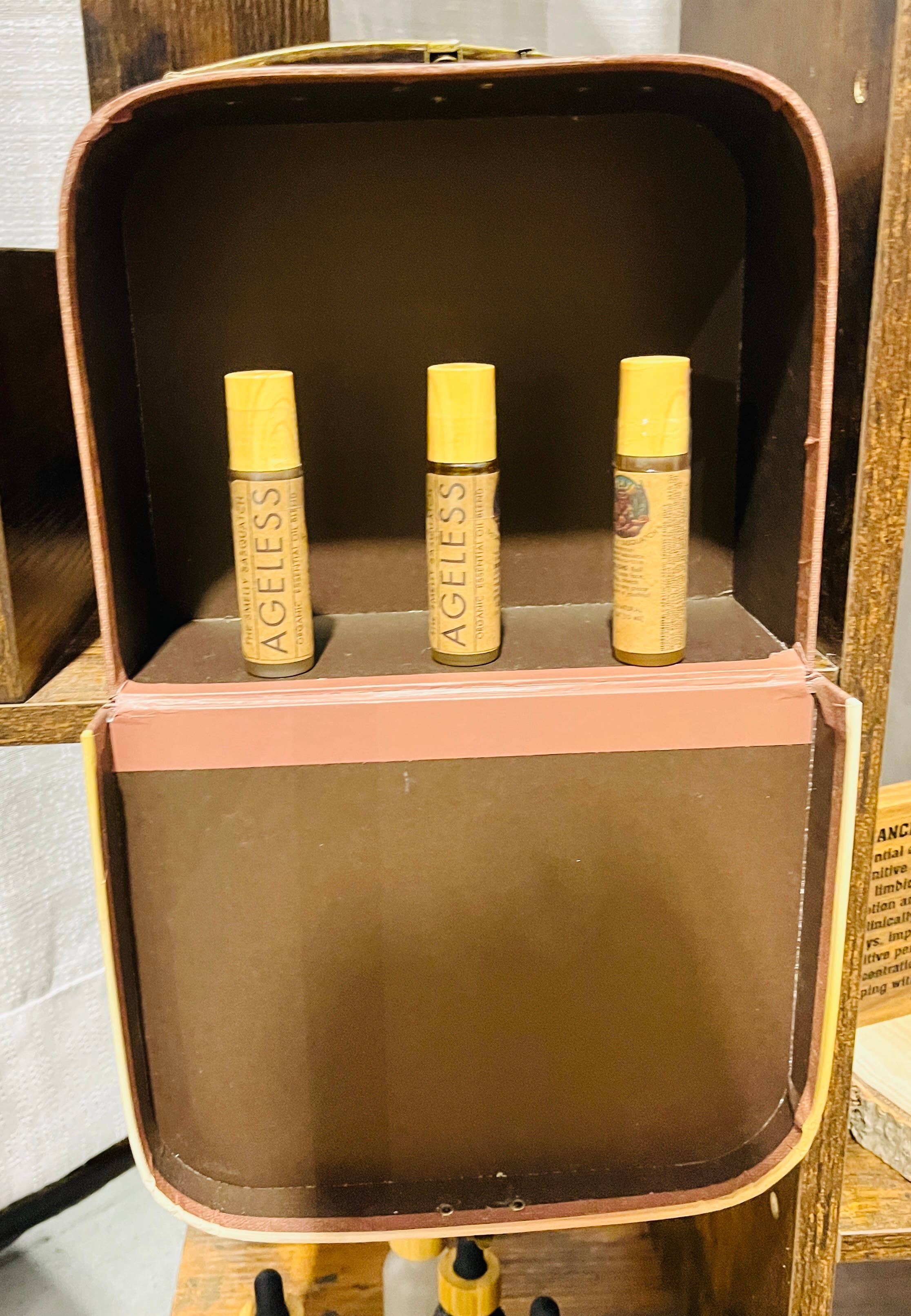 The Smelly Sasquatch - Wholesale Retailer Display - Home & Living - Suitcase Display 2