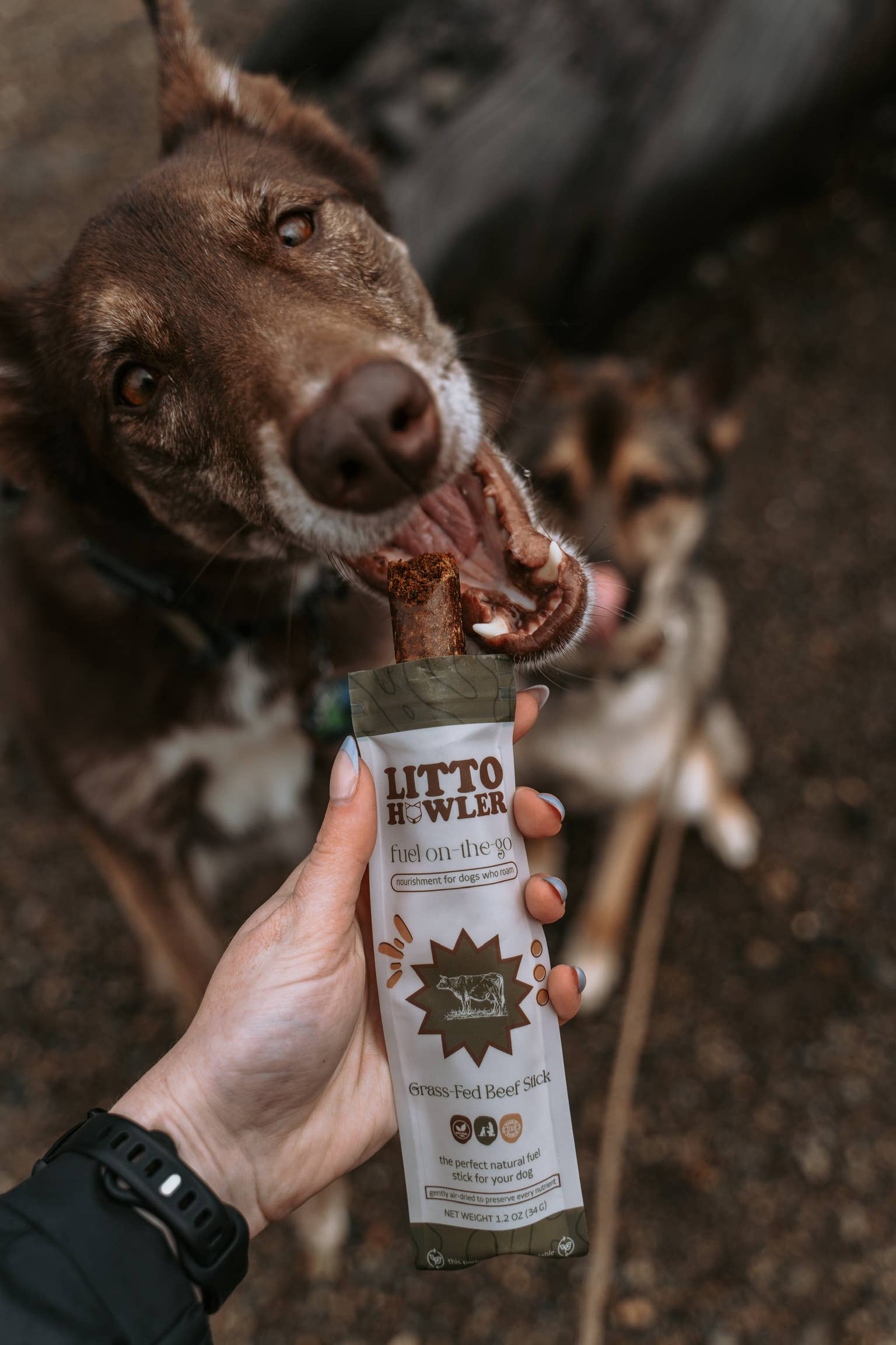 Litto Howler - Wholesale Pet Treats - Dog - Grass-Fed Beef Sticks1