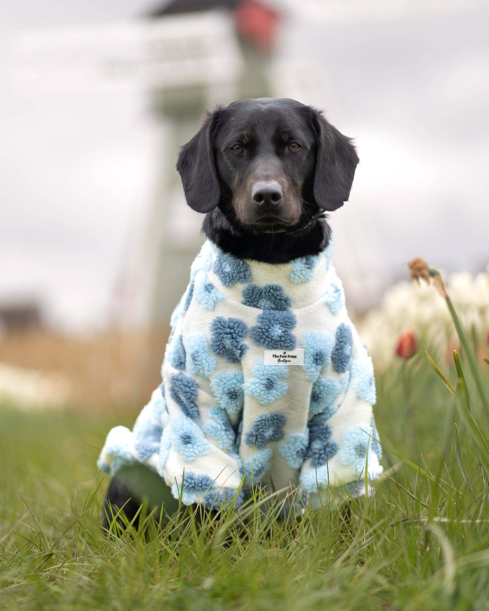 The Paw Print Boutique - Wholesale Pet jumper – Dog - The Bluebell Blue Floral Fleece11
