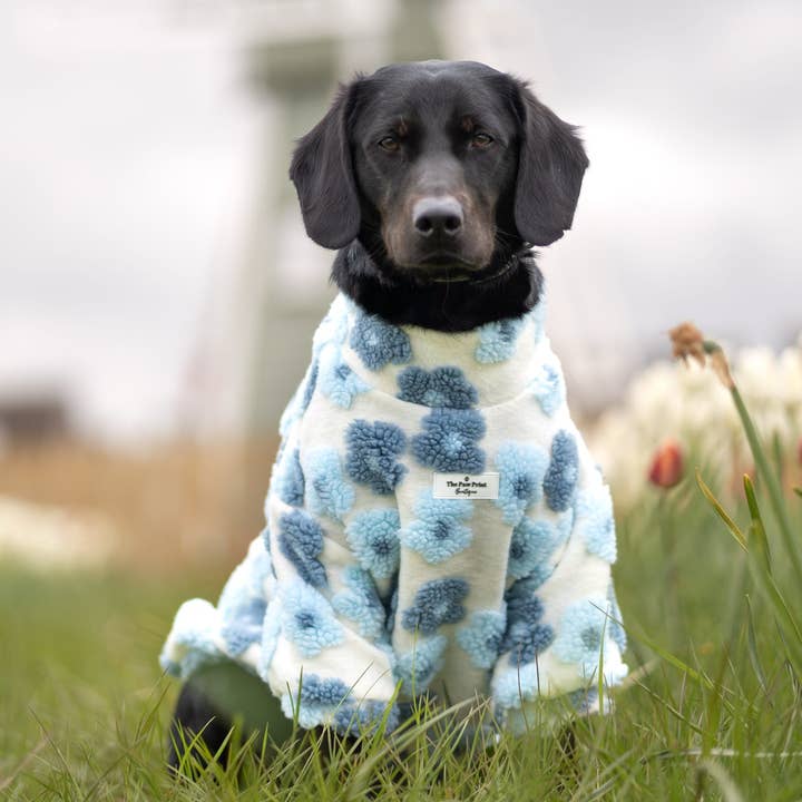 The Paw Print Boutique - Wholesale Pet jumper – Dog - The Bluebell Blue Floral Fleece11